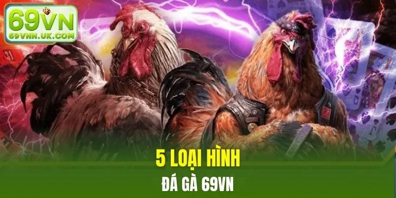 5 loại hình đá gà 69VN nổi bật nhất