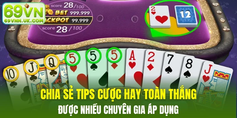 Chia sẻ tips cược hay toàn thắng cực dễ cho người mới