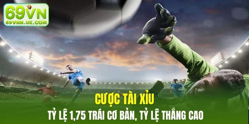 Cược Tài Xỉu tỷ lệ 1,75 trái cơ bản, tỷ lệ thắng cao