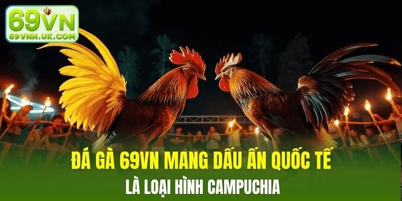 Đá gà 69VN mang dấu ấn quốc tế là loại hình Campuchia