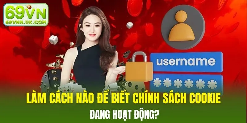 Làm cách nào để biết chính sách cookie đang hoạt động?