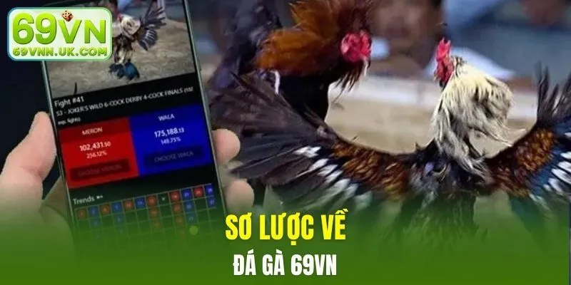 Sơ lược về đá gà 69VN