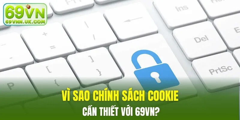 Vì sao chính sách cookie cần thiết với 69VN?