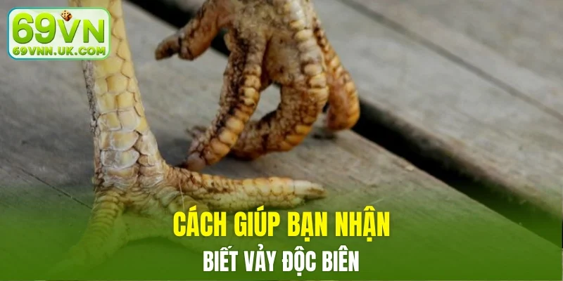 Cách cơ bản nhận biết Vảy Độc Biên
