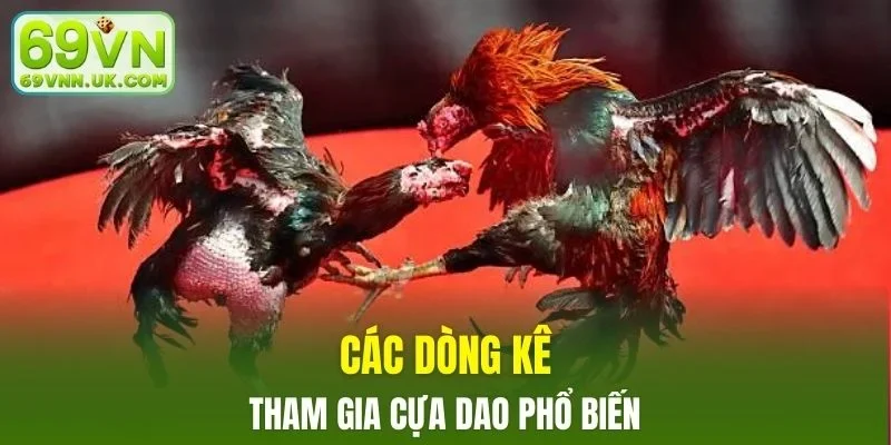 Điểm danh các dòng kê phổ biến