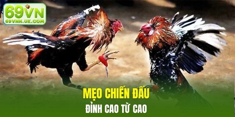Hãy giữ cho bản thân sự tỉnh táo, tập trung