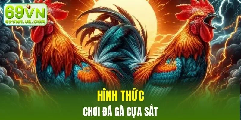 Hình thức chọi kê cựa sắt