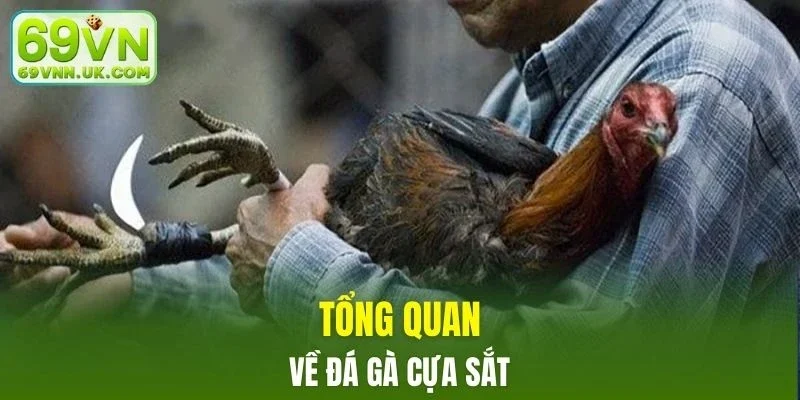 Loại công cụ này có lực sát thương rất mạnh