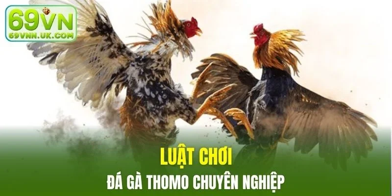 Những quy tắc quan trọng cần nắm cho người mới bắt đầu