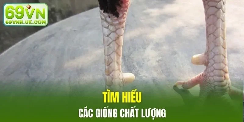 Phương pháp chọn lựa tốt