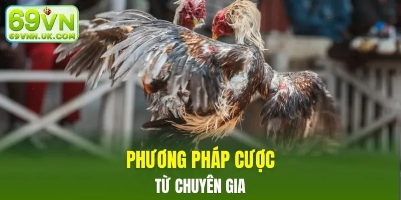 Phương pháp cược thật hay từ chuyên gia