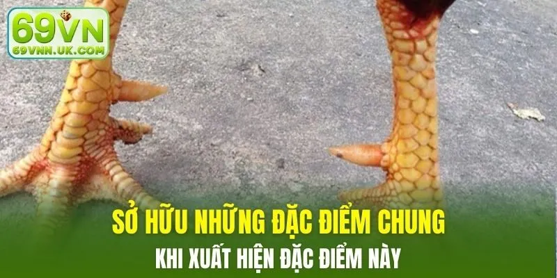 Sở hữu những đặc điểm chung khi xuất hiện đặc điểm này