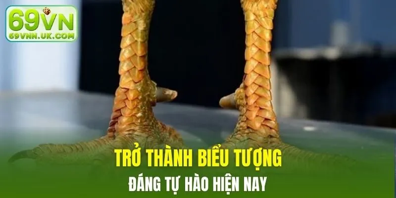 Trở thành biểu tượng đáng tự hào hiện nay