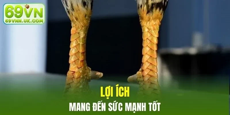 Ưu điểm khi tham gia trận đấu